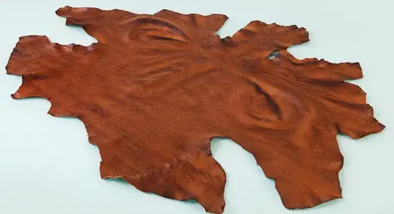 چرم شتر مرغ